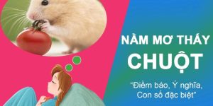 nằm mơ thấy chuột